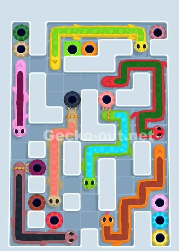 Gecko Out Level 900 Solution 1