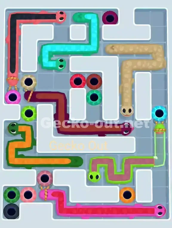 Gecko Out Level 949 Solution 1