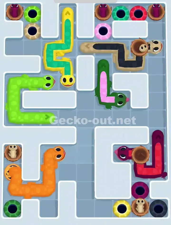 Gecko Out Level 1122 Solution 2