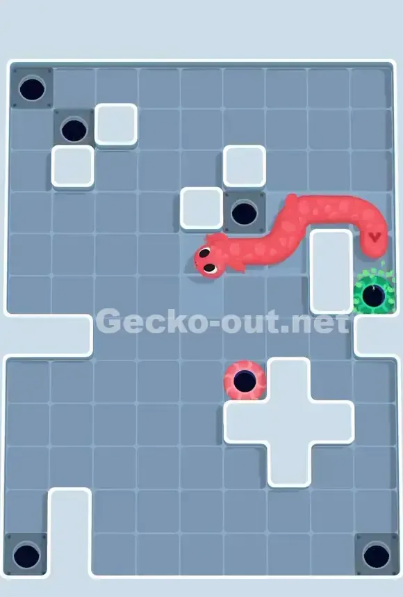 Gecko Out Level 685 Solution 3