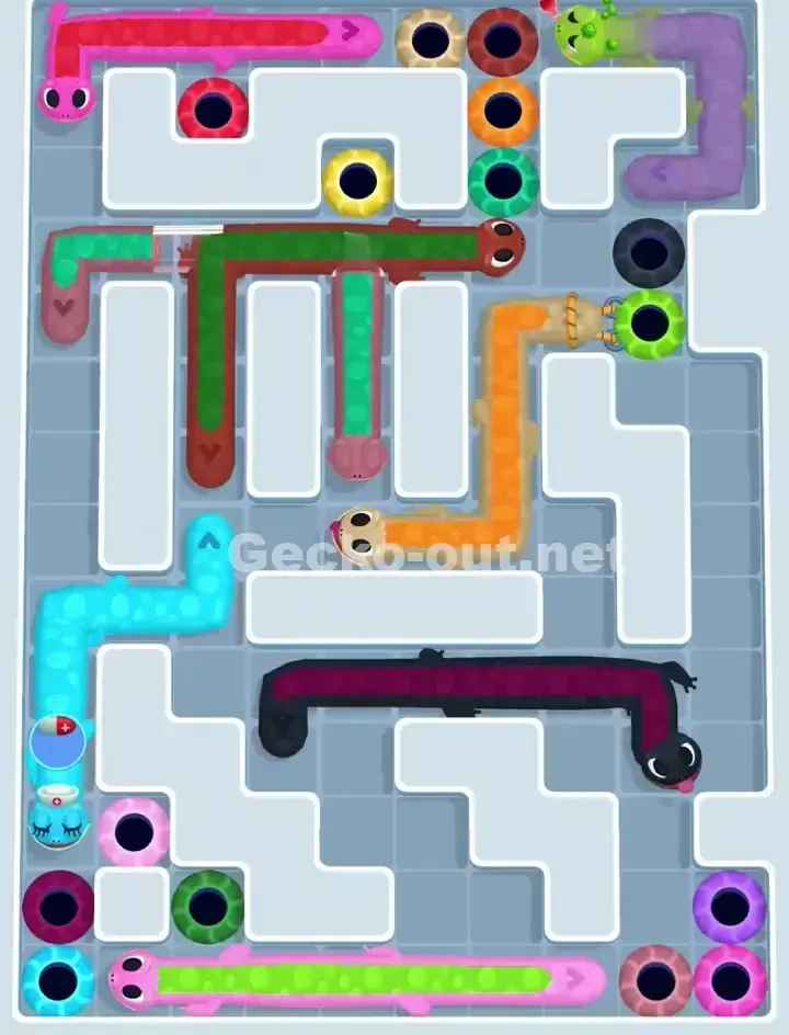 Gecko Out Level 1150 Solution 2