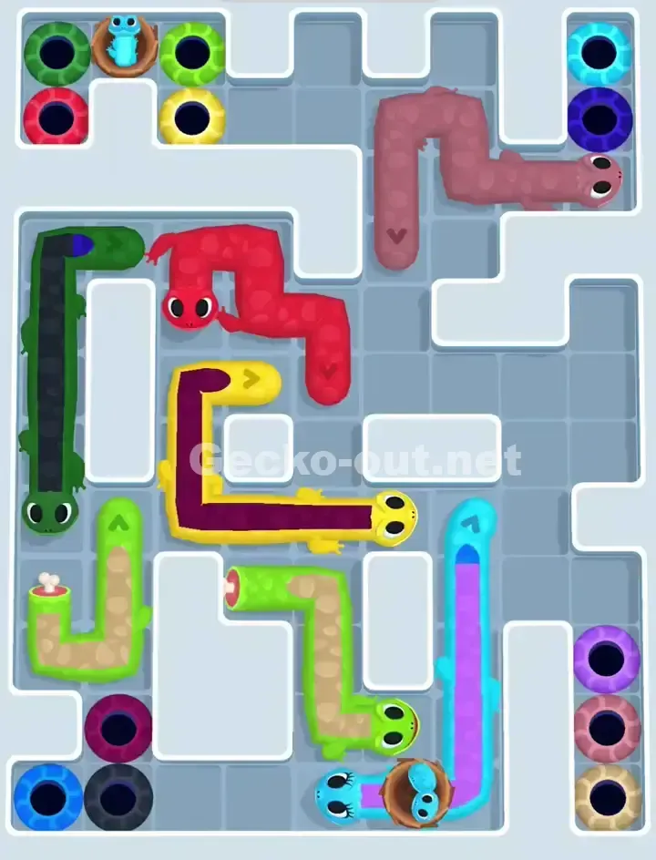 Gecko Out Level 1117 Solution 1