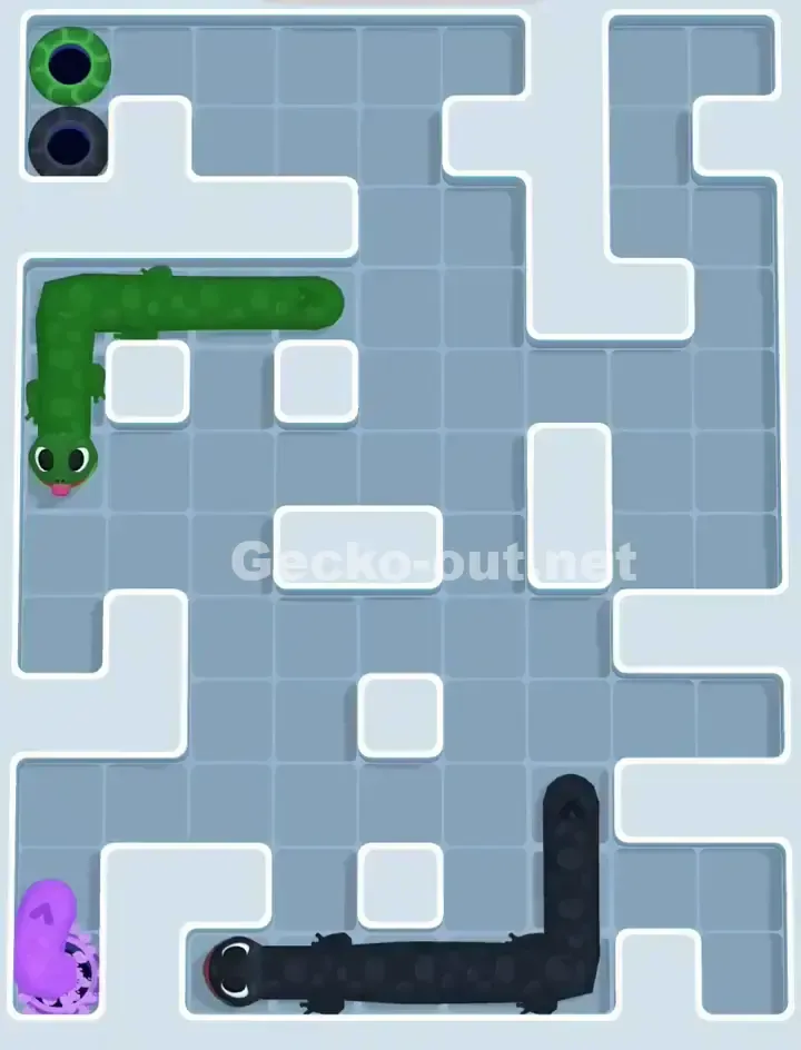 Gecko Out Level 1115 Solution 3