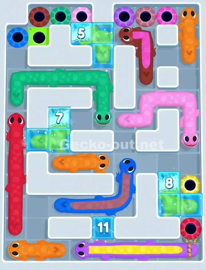 Gecko Out Level 1161 Solution 1