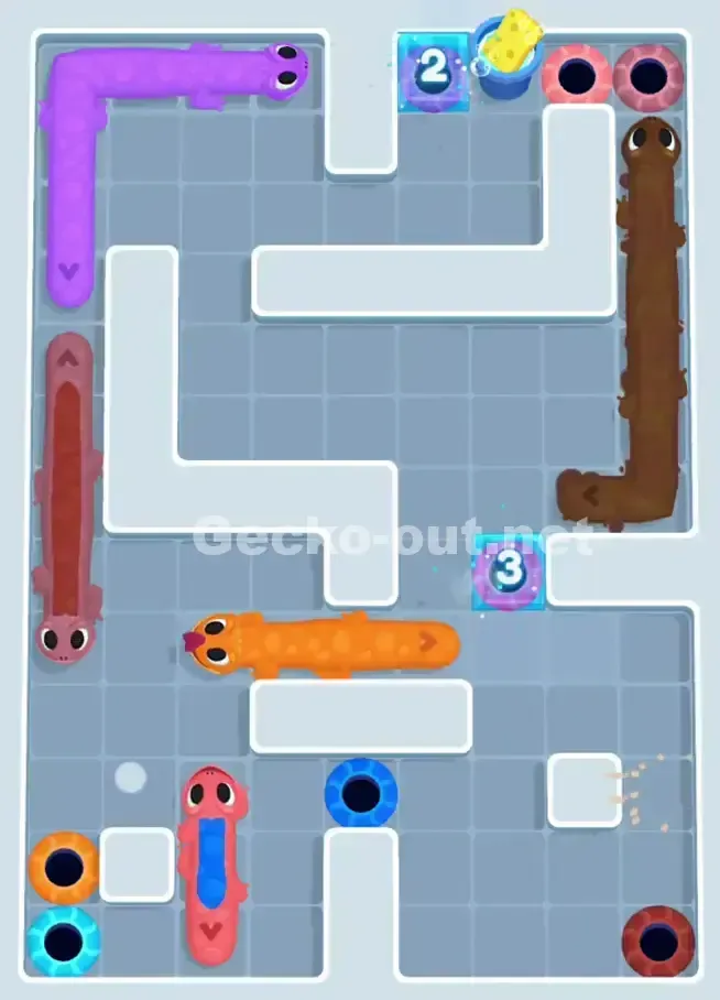 Gecko Out Level 1075 Solution 3