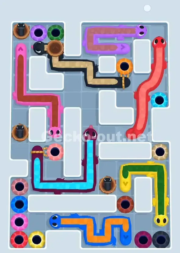 Gecko Out Level 903 Solution 1