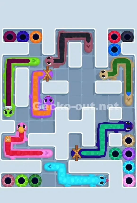 Gecko Out Level 781 Solution 2