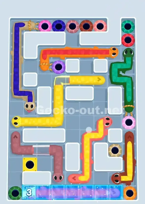 Gecko Out Level 907 Solution 2