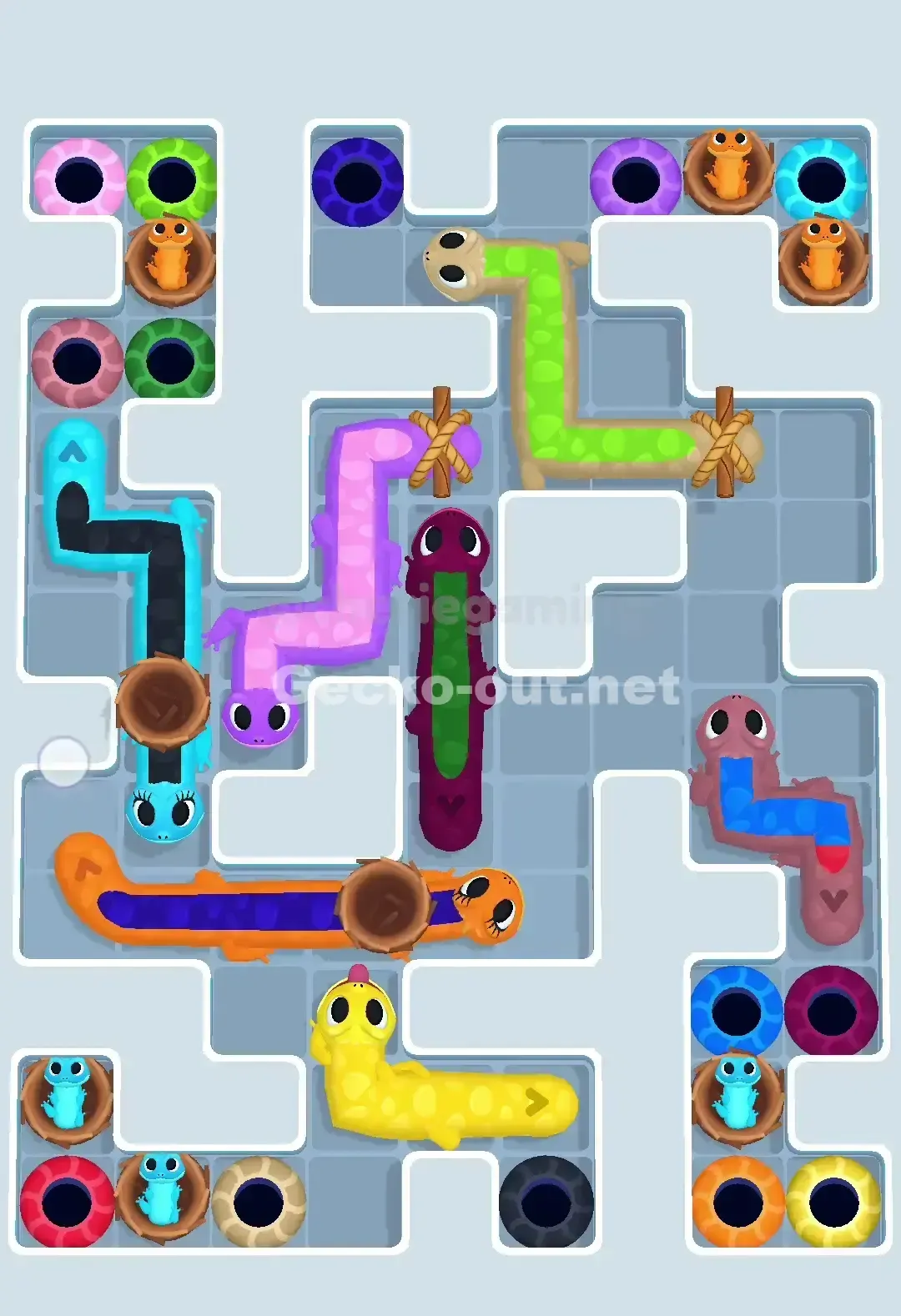 Gecko Out Level 664 Solution 1