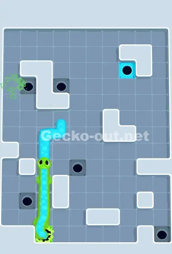Gecko Out Level 707 Solution 3