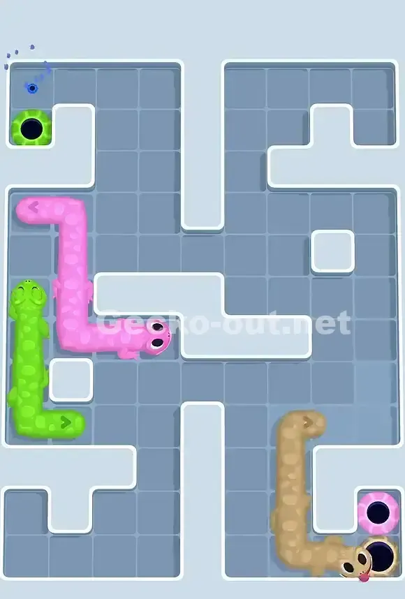 Gecko Out Level 724 Solution 3