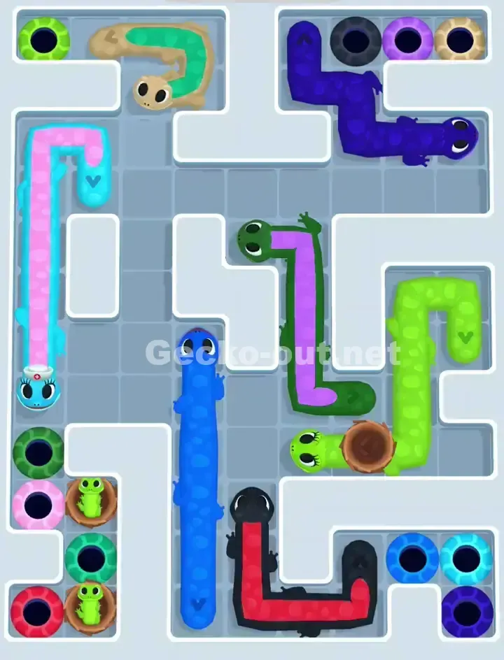Gecko Out Level 1113 Solution 2