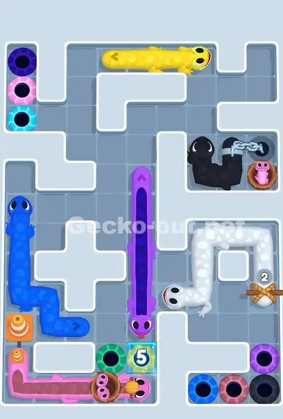 Gecko Out Level 765 Solution 2