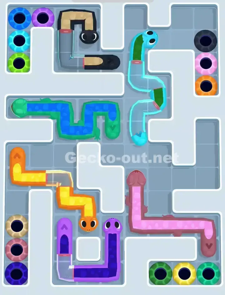 Gecko Out Level 1137 Solution 1