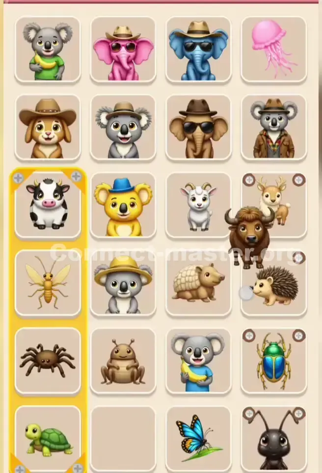 Connect Master Level 320 Solution 1