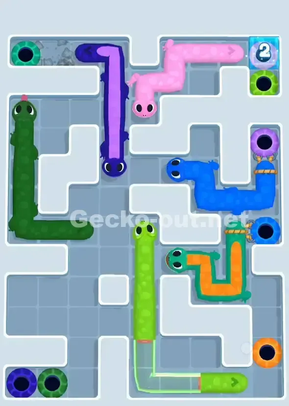 Gecko Out Level 890 Solution 3