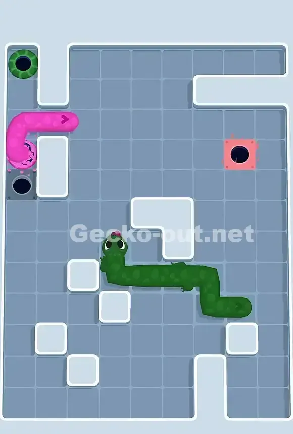 Gecko Out Level 805 Solution 3