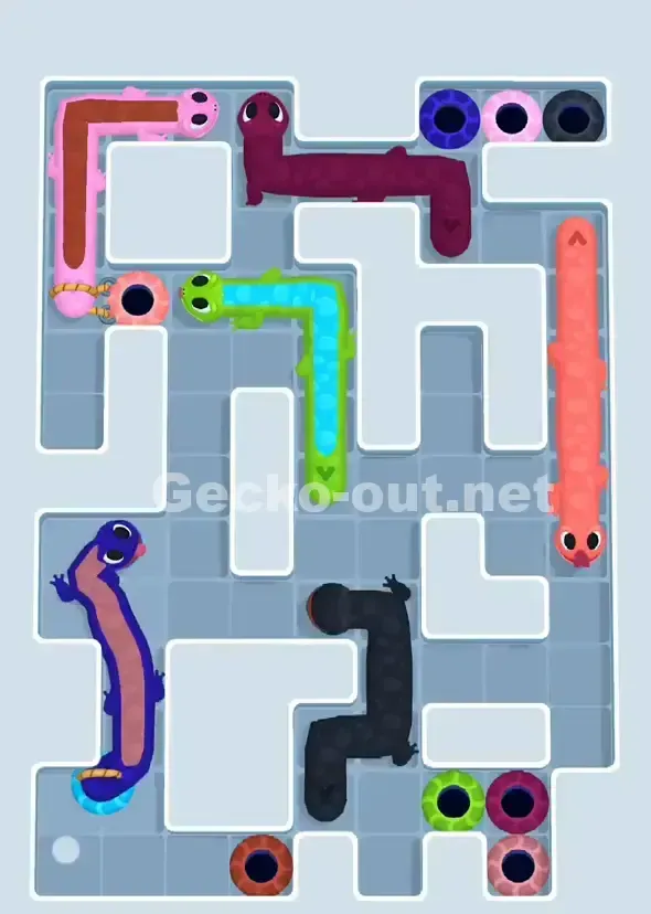 Gecko Out Level 914 Solution 2