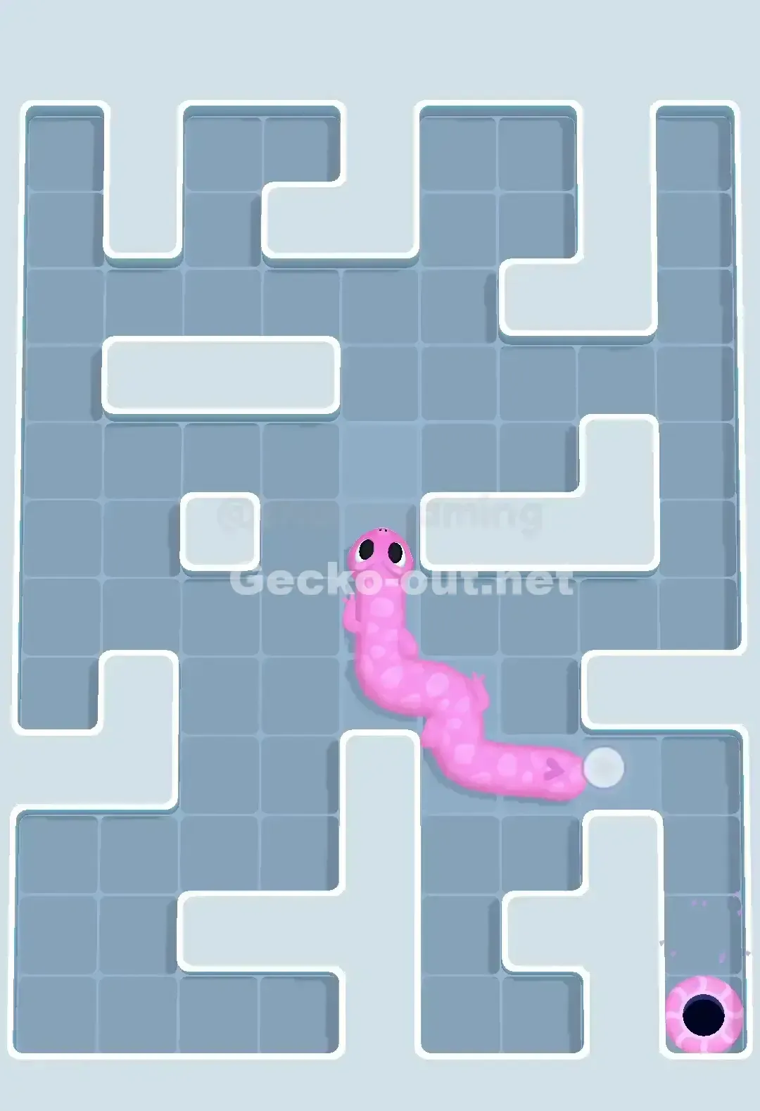 Gecko Out Level 663 Solution 3
