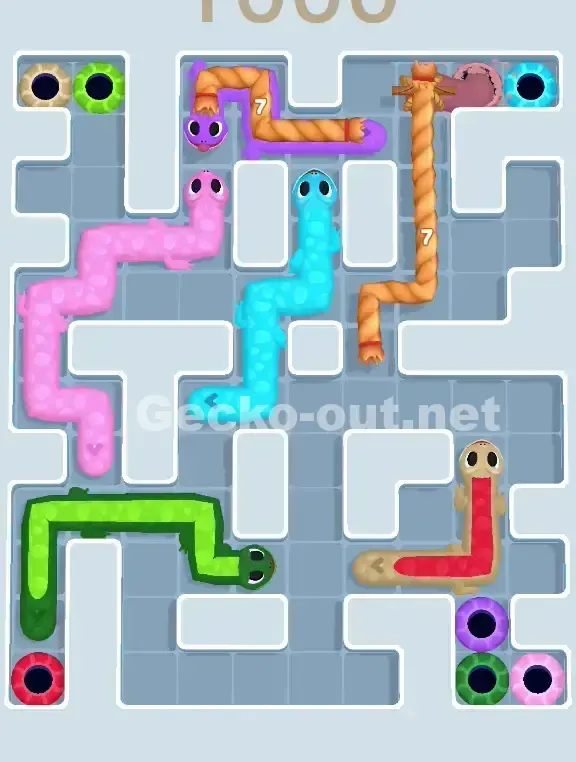 Gecko Out Level 1000 Solution 2