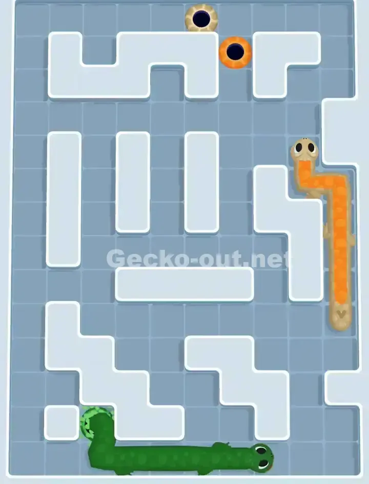Gecko Out Level 1150 Solution 3