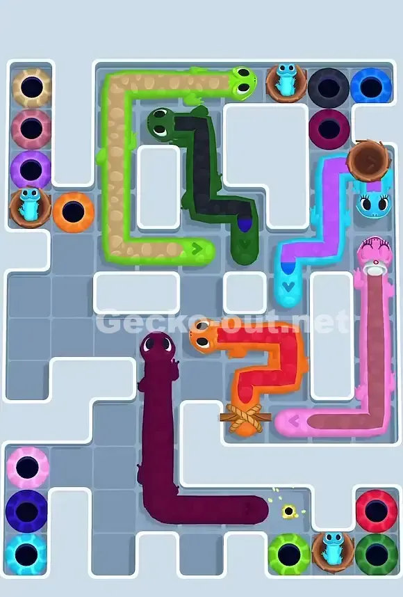 Gecko Out Level 762 Solution 1