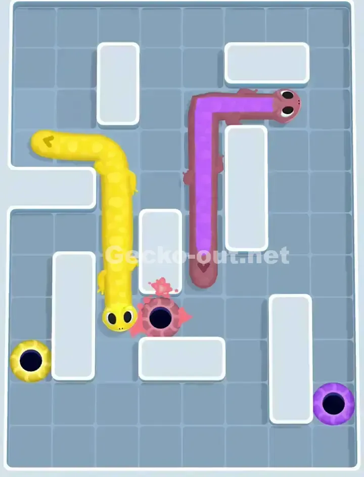 Gecko Out Level 1146 Solution 3