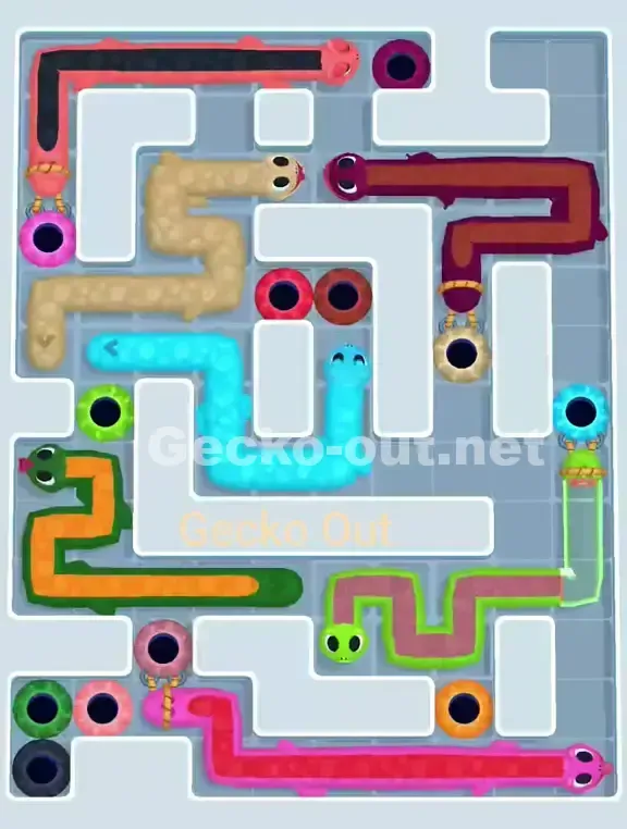 Gecko Out Level 949 Solution 2